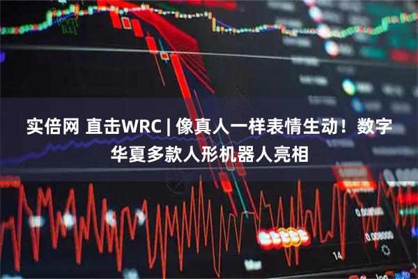 实倍网 直击WRC | 像真人一样表情生动！数字华夏多款人形机器人亮相