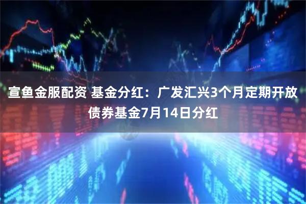 宣鱼金服配资 基金分红：广发汇兴3个月定期开放债券基金7月14日分红
