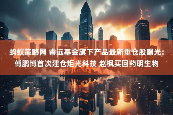 蚂蚁策略网 睿远基金旗下产品最新重仓股曝光:傅鹏博首次建仓炬光科技 赵枫买回药明生物